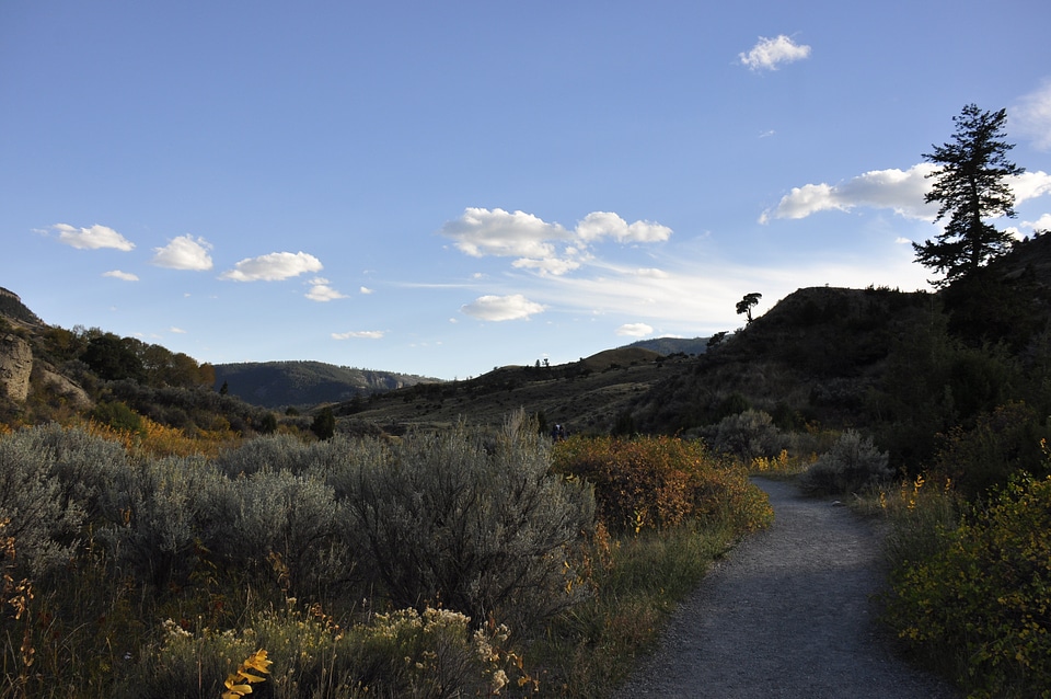 Yellowstone National Park