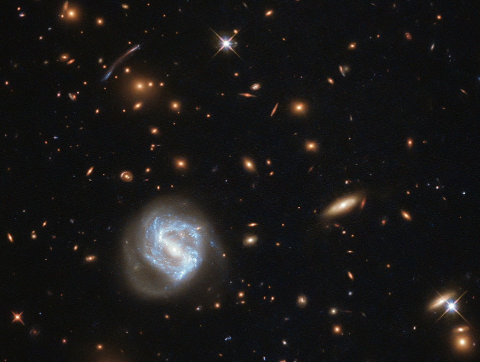 Galaxy Cluster Cornucopia