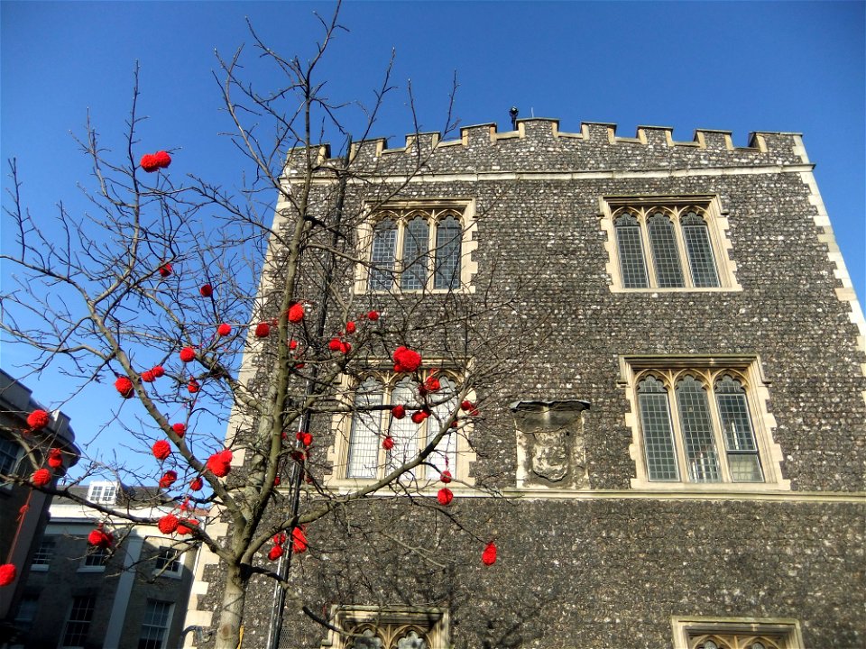 Guerilla knitting at the Guildhall