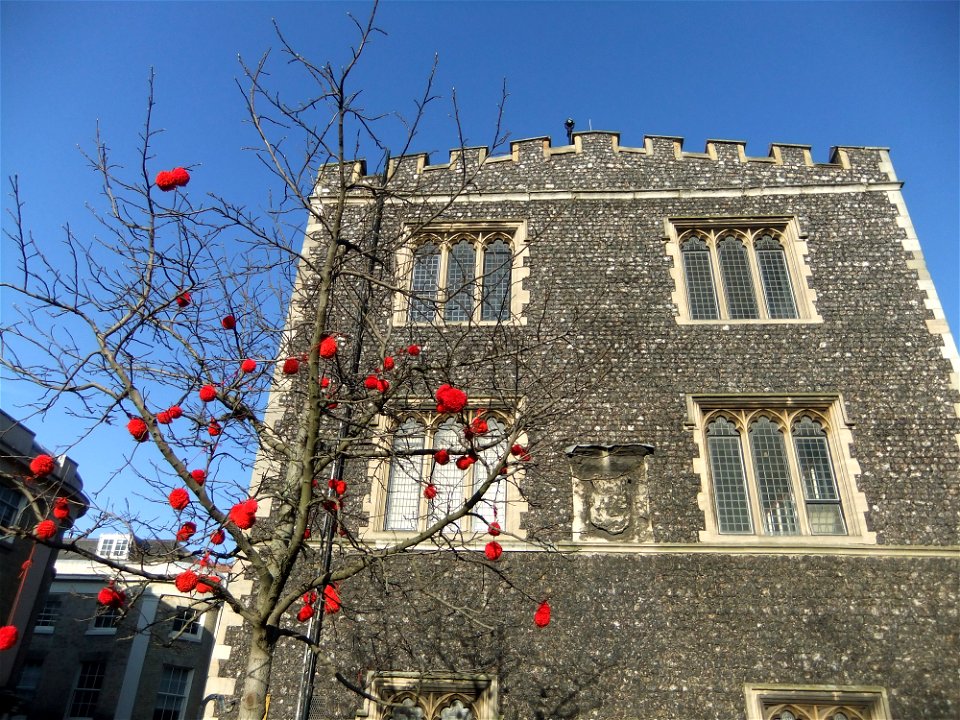 Guerilla knitting at the Guildhall photo