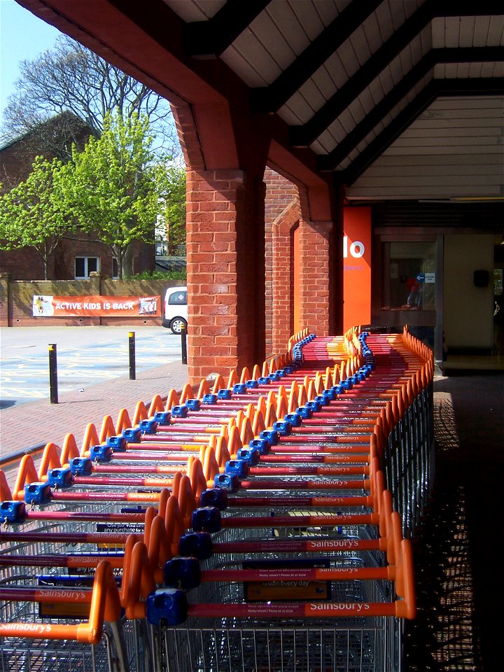 'lo! Trolleys! photo