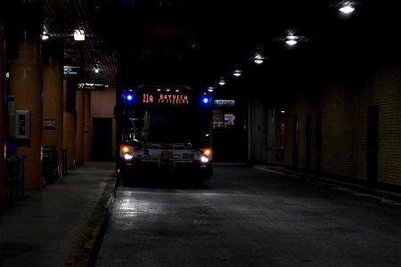 11a Bus at Davisville. photo