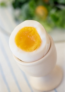 Boiled Egg in Eggcup photo