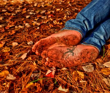 Timi's Bare Feet photo