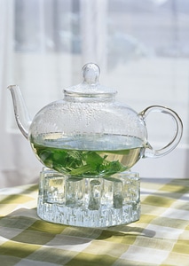 green tea with jasmine in cup and teapot photo