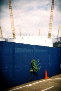 Millennium Dome photo