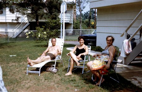 Family Slides (243)