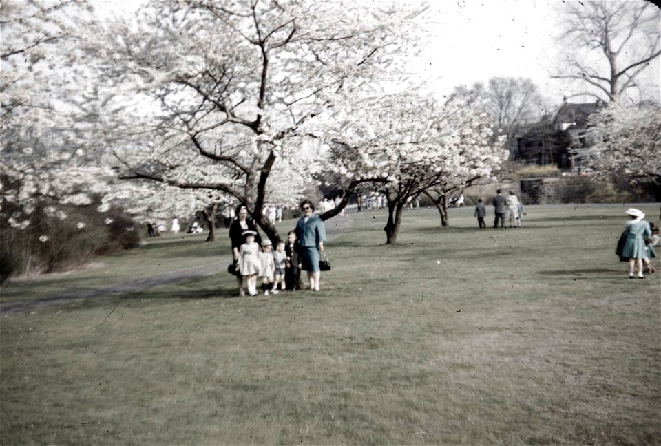 Family Slides (274)
