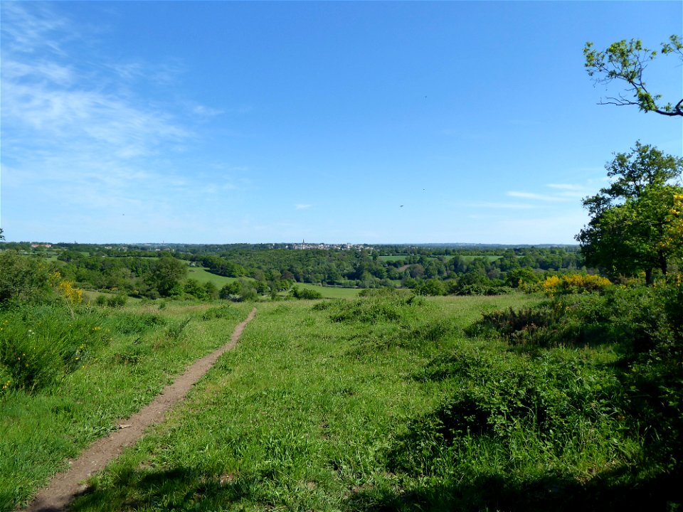 Tiffauges depuis Torfou
