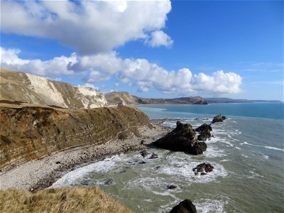 Dorset photo