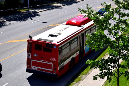 DSC_0482