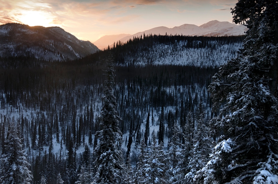 Winter Denali National Park and Preserve