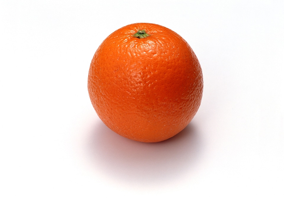 Citrus isolated on white background