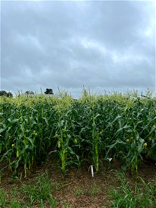 IMG_9357