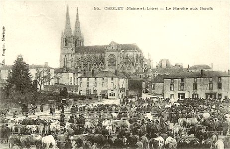 Cholet.Le marché aux boeufs