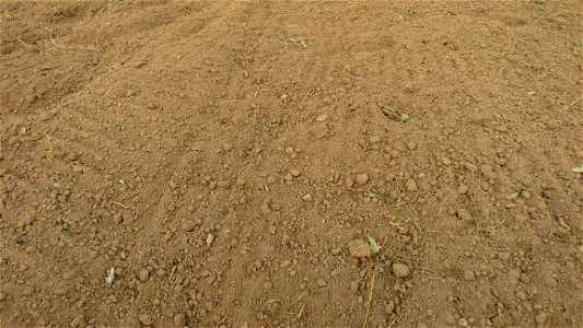 HT2B-after-seeding-SS-and-raking