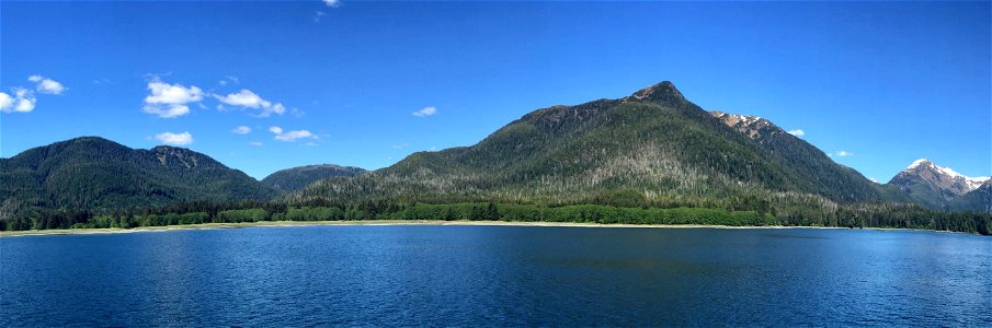 Yellow-cedar-decline-Nakwasina-Sound-Baranof-2016-Tongass