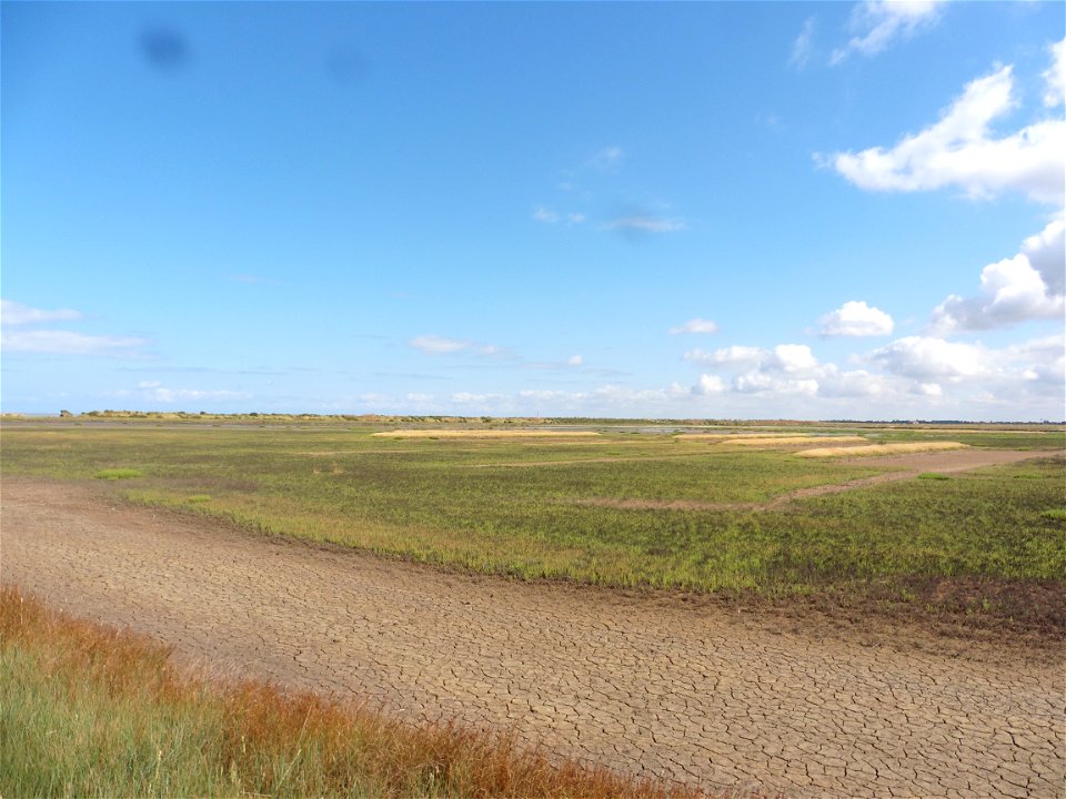 Littoral charentais, Oléron, Moëze