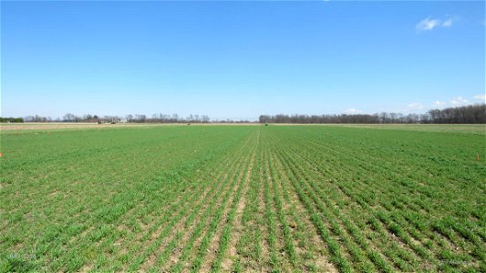 K3 rye plot 104-106