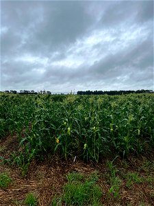 IMG_9358