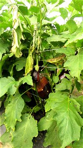 IMG_8658