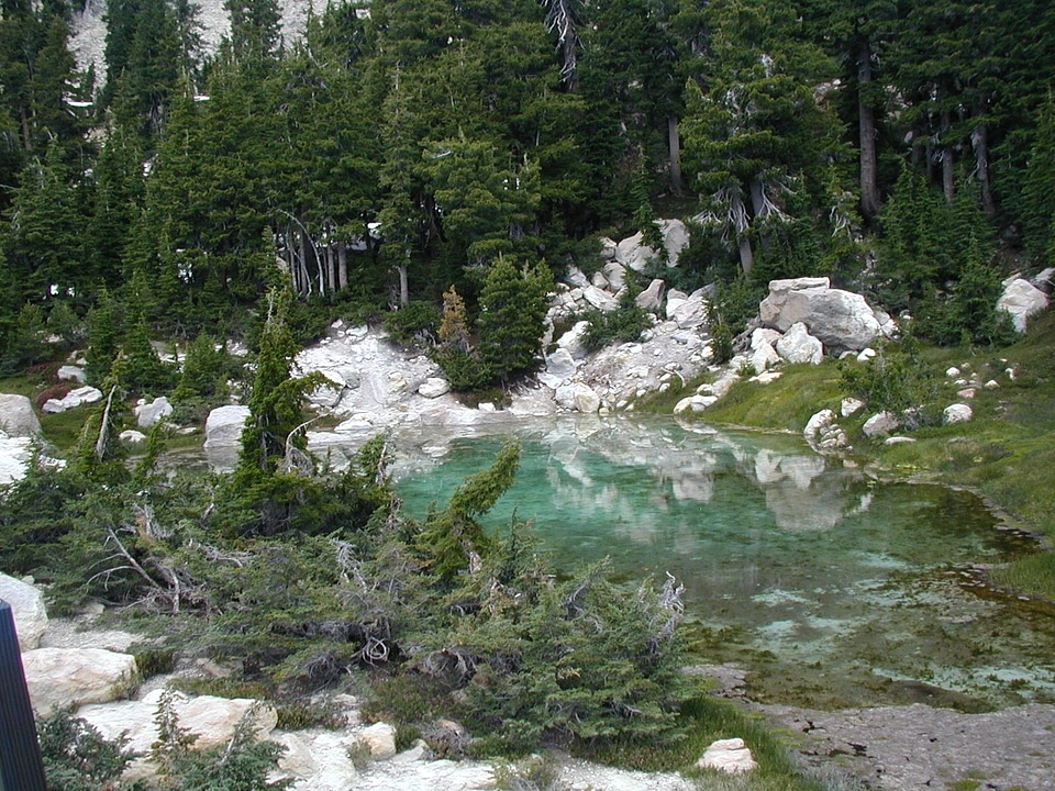 Cool water pool with algae near Bumpass Hell