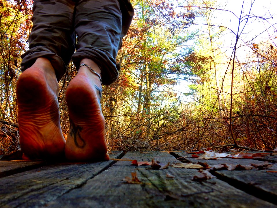 Timi's Alway's Barefoot