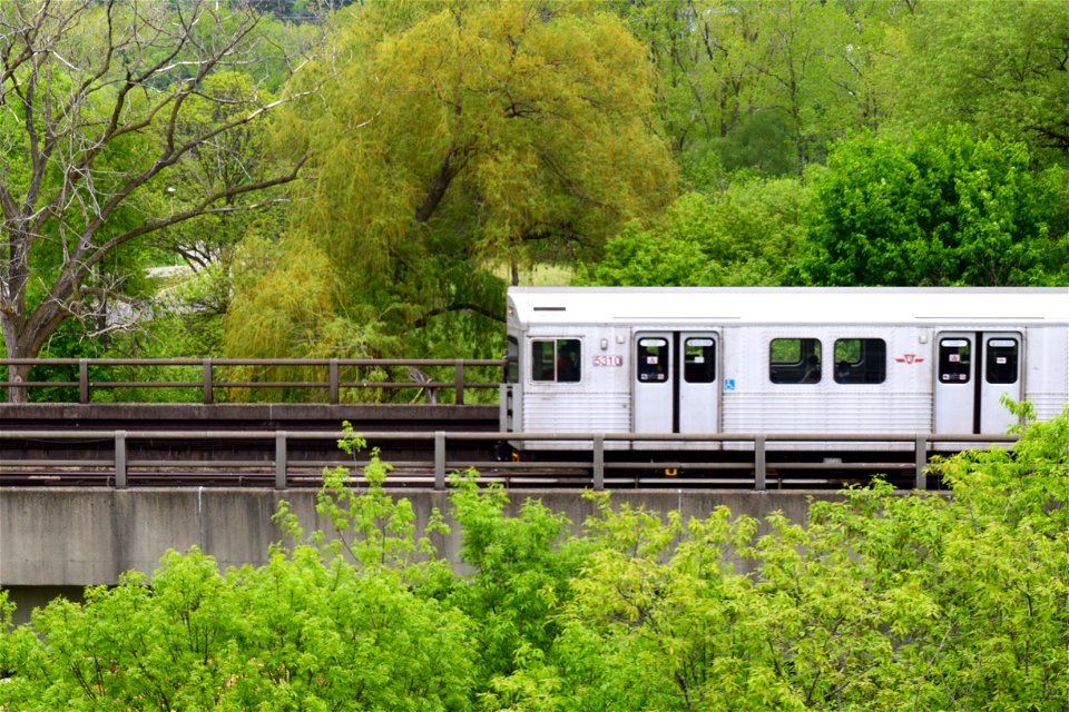 TTC T1 5310 Towards Kipling Approaching Old Mill.