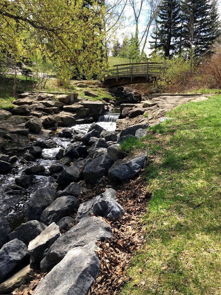 Confederation Park Creek