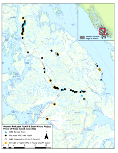 Western-redcedar-topkill-survey-June-2022-Prince-of-Wales-Alaska
