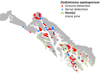Dothistroma-needle-blight-detection-map-2022-Alaska