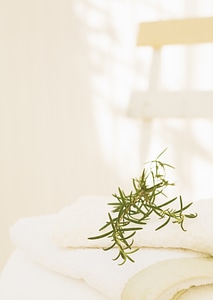 Branches of rosemary and white towels photo