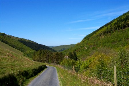 Rheidol Valley photo