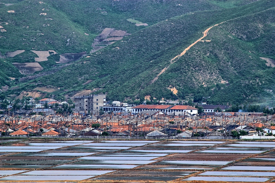 rice paddy fields in North Korea photo