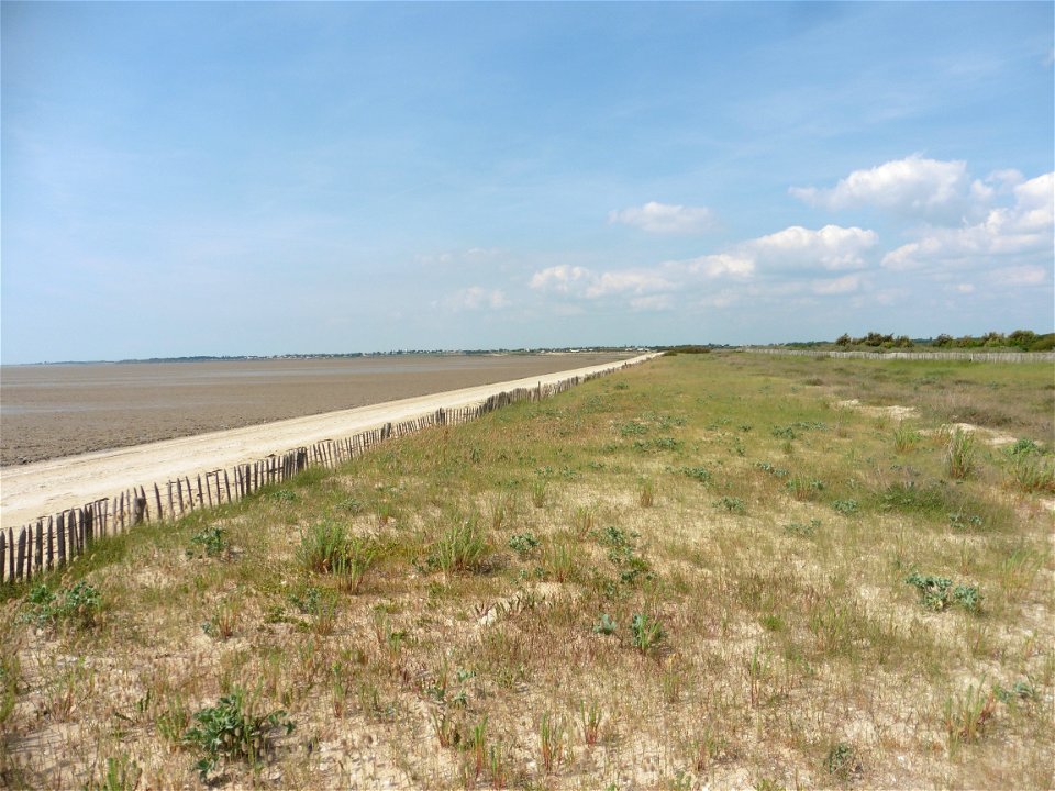 Littoral de Charente-Maritime