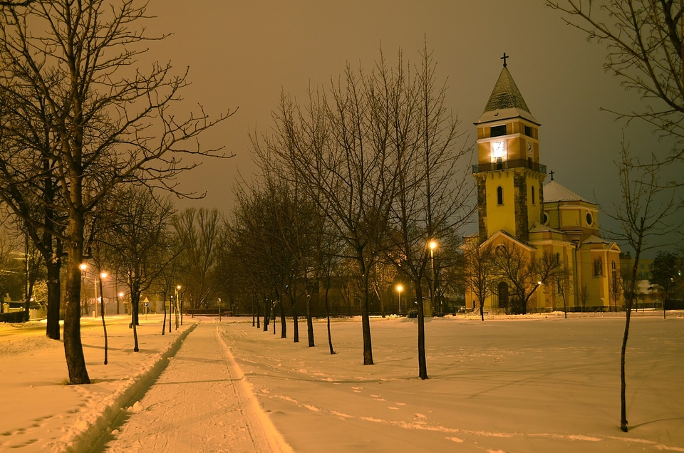 Winter park in the evening covered with snow with a row of lamps