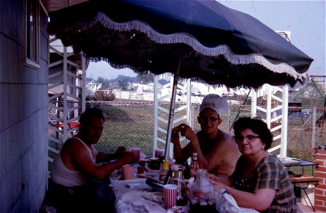 Family Slides (244)