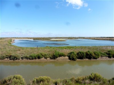 Littoral charentais, Oléron, Moëze