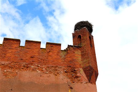 Stork nest on a castle photo