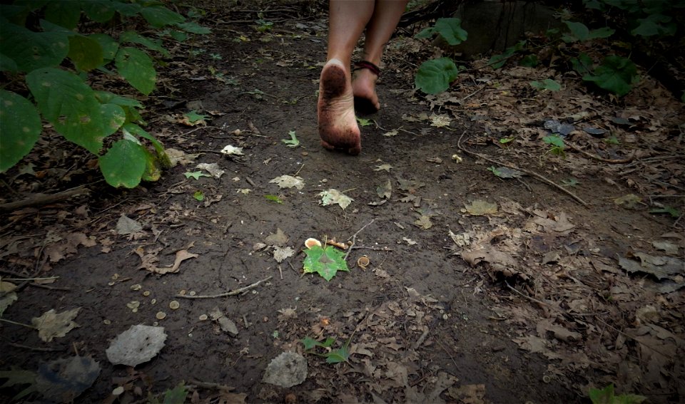 Timi's Feet