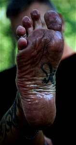 Timi's Always Barefoot