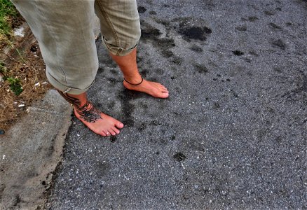 Timi's Always Barefoot photo