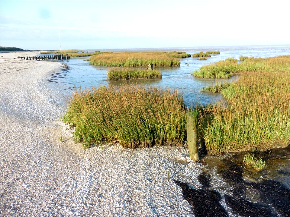 Littoral charentais, Oléron, Moëze