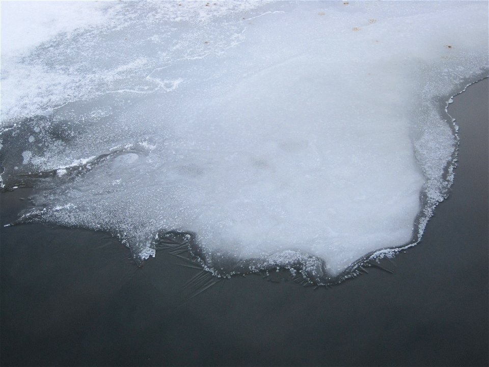 The Thin Line Between Water And Ice