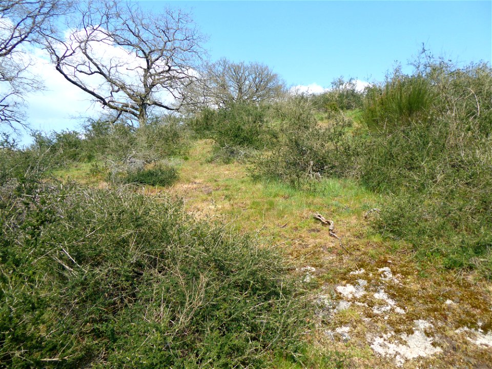 Vallée des Amourettes, Vendée