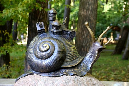 A snail for slow life photo