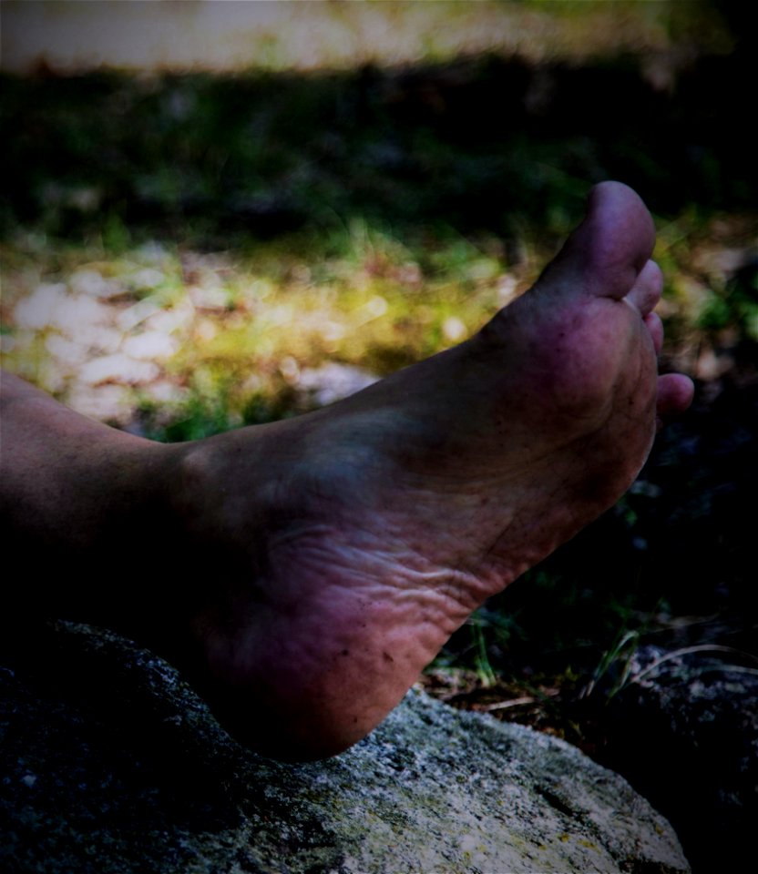 Timi's Barefoot
