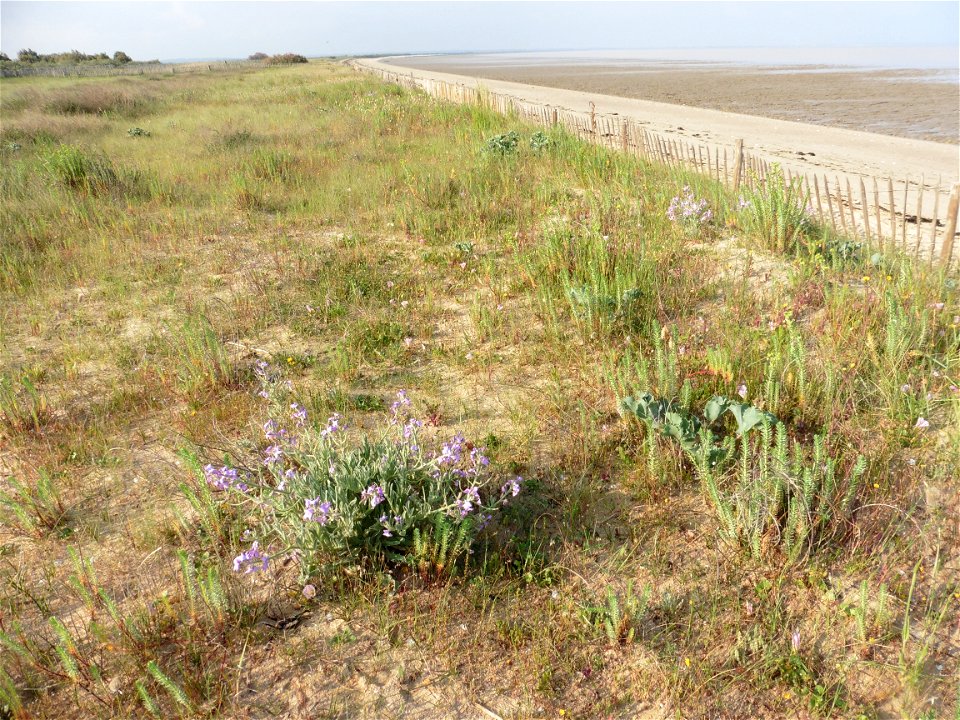 Littoral de Charente-Maritime