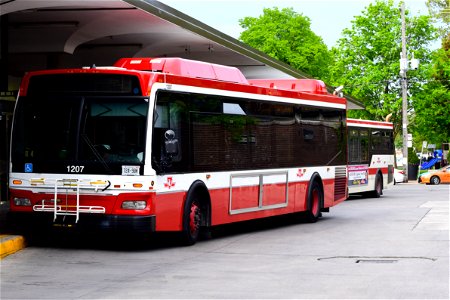 TTC Orion NG 1207. OFS 79 route idle. Orion OG 8081. 71 route idle at at Runnymede. photo