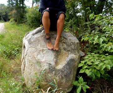 Timi's Always Barefoot